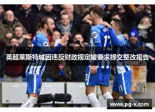 英超莱斯特城因违反财政规定被要求提交整改报告