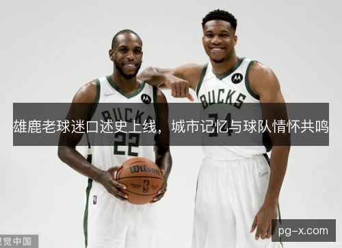 雄鹿老球迷口述史上线，城市记忆与球队情怀共鸣
